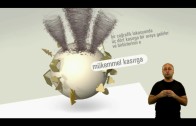 Turkcell Akademi Bora Özkent Eğitim Filmleri, E-learning Video 2